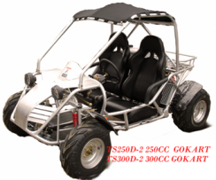  300cc Sand Buggy (300cc Sand Buggy)