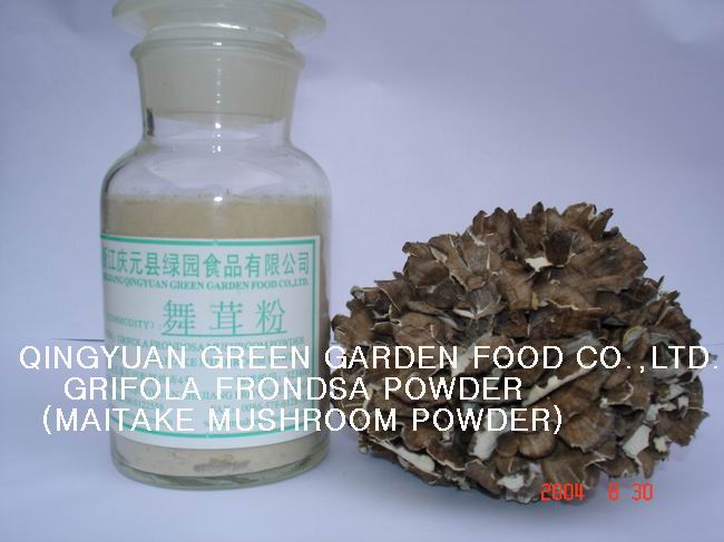  Maitake Mushroom Powder (Maitake Mushroom Powder)