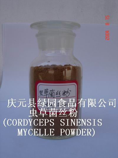  Cordyceps Sinensis Mycelie Powder