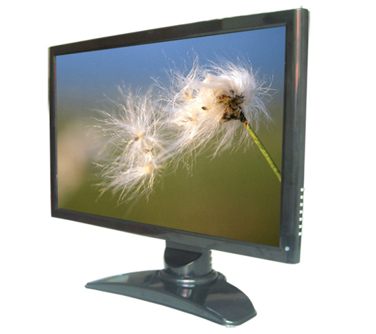  Cp-220h Lcd Monitor (Cp-220h Lcd Monitor)