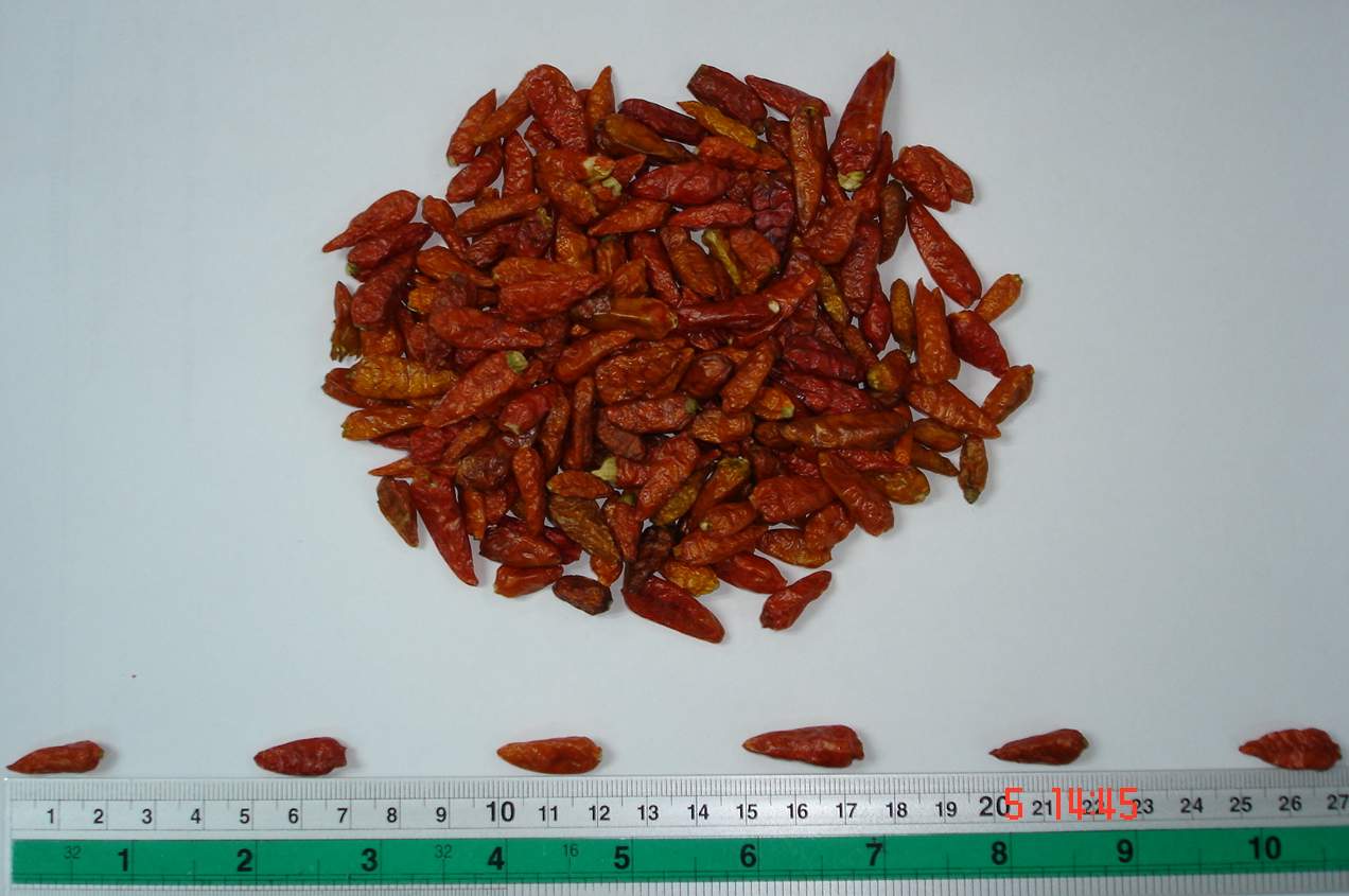 Birds-Eye Chilli (Birds-Eye Chilli)