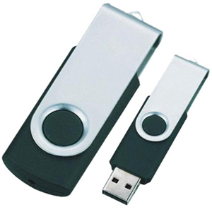  USB Pen Drive (Pu0202)