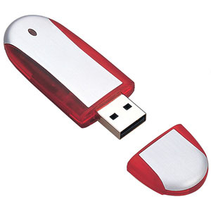  USB Flash Drive (Pu0259)