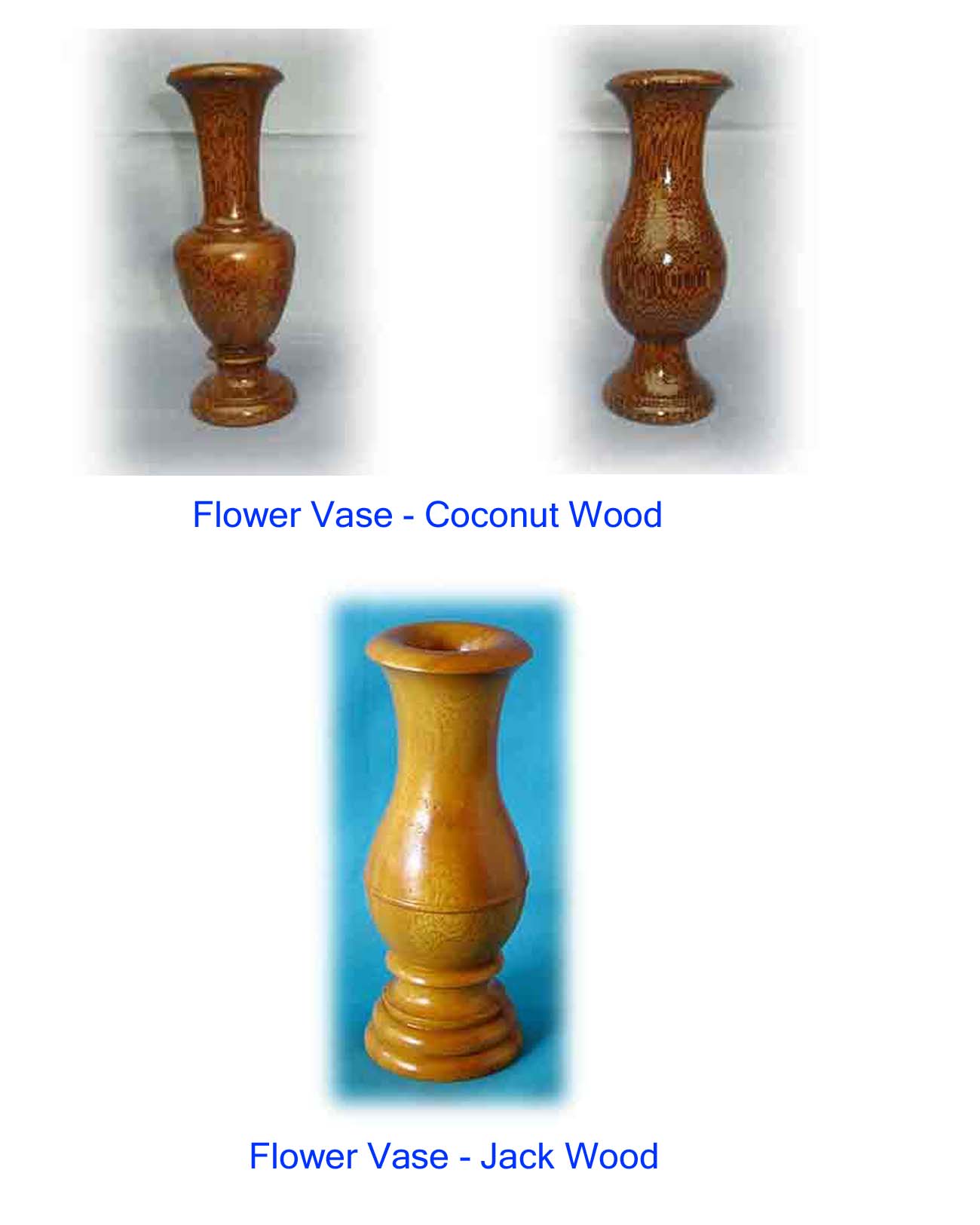  Flower Vases (Vases de fleurs)