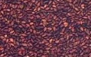  Indian Crushing Grade Brown Sesame Seeds (Indian Broyage Grade Brown graines de sésame)