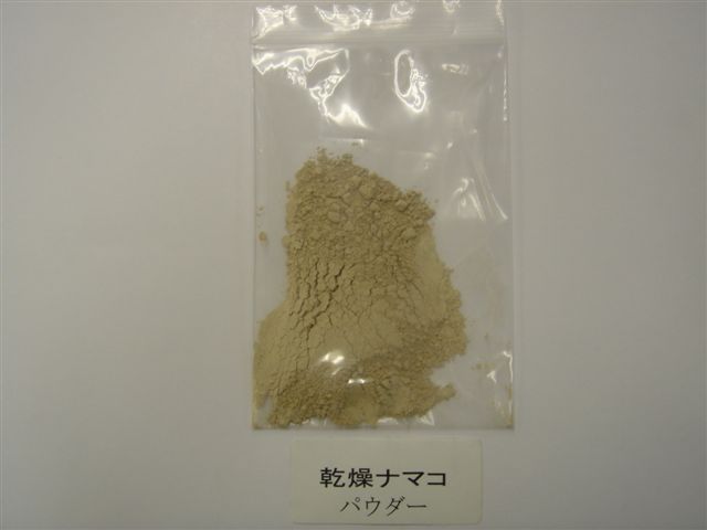  Dried Sea Cucumber Powder