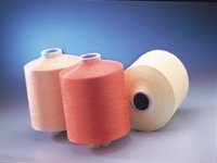  Polyester Drawn Texturized Yarn(Pdty) (Polyester texturé Drawn Yarn (Pdty))