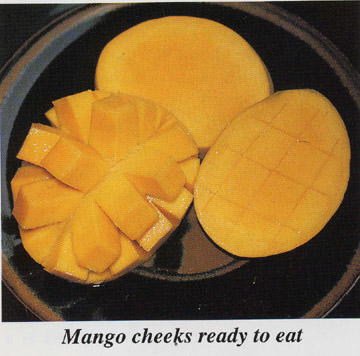  Mango Pulp