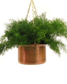  Copper Hanging Planter (Cuivre Hanging Planter)