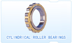  Cylindrical Roller Bearing (Roulements à rouleaux cylindriques)