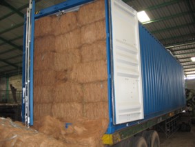  Coconut Fiber ( Coconut Fiber)