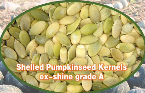  Shine Skin Pumpkin Seeds Kernels (Блеск кожи Тыквенные семечки ядра)