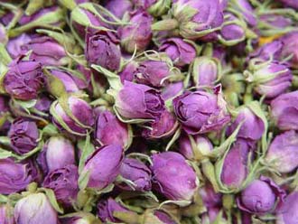  Pink Rose Bud And Petals