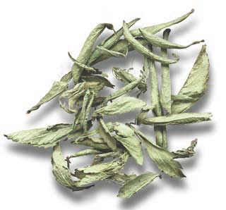  Stevia Dry Leaves ( Stevia Dry Leaves)