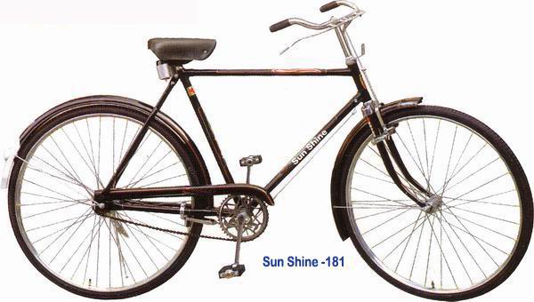  Phoenix Bicycle (Phoenix велосипедов)
