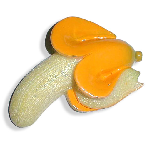  Fruit Fridge Magnet (Fruit Fridge Magnet)