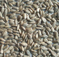  Bakery Sunflower Kernels ( Bakery Sunflower Kernels)