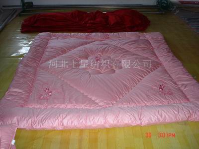  Embroider Bed Quilt (Brodez Couettes)