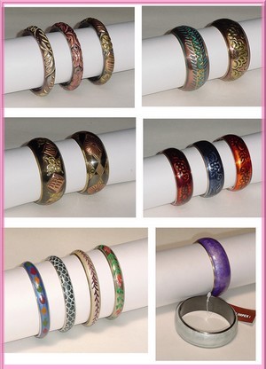 Fashion Bangles (Fashion Bangles)