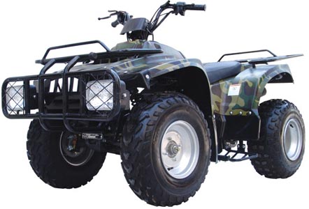  ATV From 50cc To 300cc And Spare Parts (VTT de 50cc à 300cc et pièces de rechange)