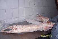 Halal Frozen Goat Carcass (Halal Frozen Goat Carcass)