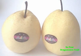  Chinese Su Pear (Crisp Pear, Gong Pear)