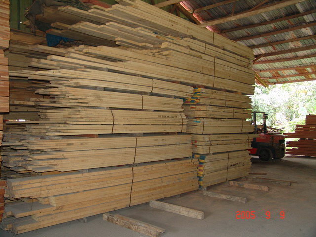  Kasah / White Mempisang / Koto Rough Sawn Timber ( Kasah / White Mempisang / Koto Rough Sawn Timber)