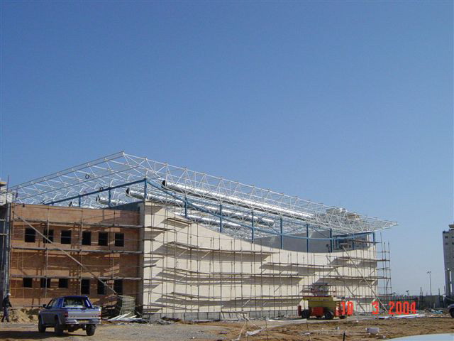  Steel Space Frame (Стальная пространственная рама)