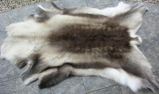  Reindeer And Sheep Skins (Rennes et Peaux de mouton)