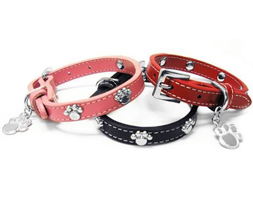 Pet Collar (Pet Collar)