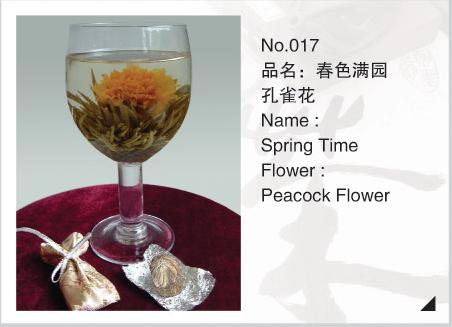 Peacock Flower Tea (Peacock Flower Tea)