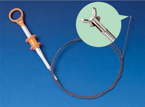 Needleless Biopsy Forceps & Biopsy Forceps With Needle (Sans aiguille à biopsie & pinces à biopsie Avec l`aiguille)
