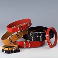  Dog Leads And Collars ( Dog Leads And Collars)