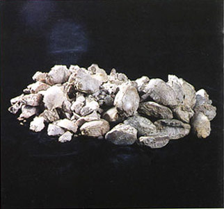  Dead Burned Magnesite (DBM) (Dead Magnesite Burned (DBM))