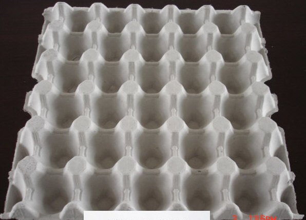  Fruit Tray, Egg Tray, Egg Carton, Apple Tray ()