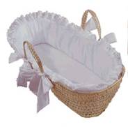  Moses Basket (Моисей корзины)