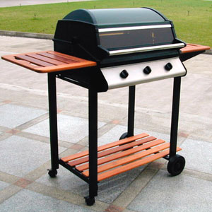  Barbecue Grills / Smokers (Grills / Raucher)