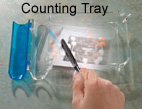 Medical Counting Tray