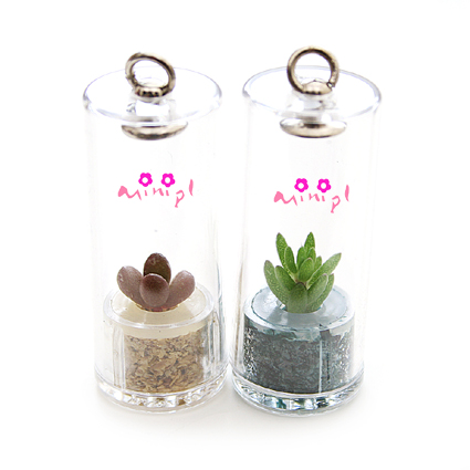  A Living Miniature Plant In Plastic Capsule (A Living In Plastic Plant Mini Capsule)