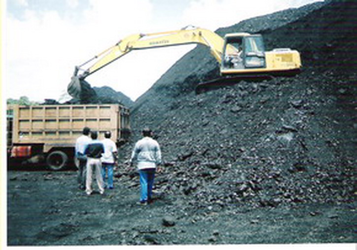  Steam Coal (Charbon vapeur)