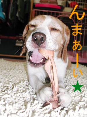  Dog Chew Bone (Чью Dog Bone)