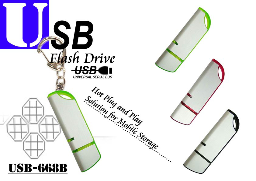  USB Flash Drive ( USB Flash Drive)