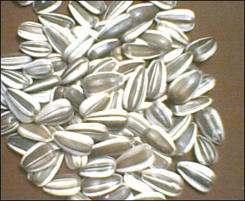  Sunflower Seeds ( Sunflower Seeds)