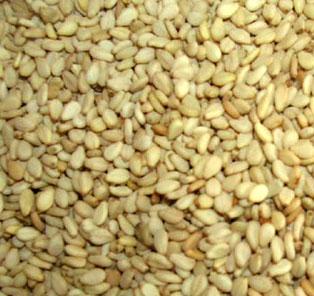  Sesame Seeds ( Sesame Seeds)