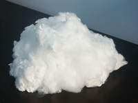  Polyester Staple Fiber (Fibres discontinues de polyester)