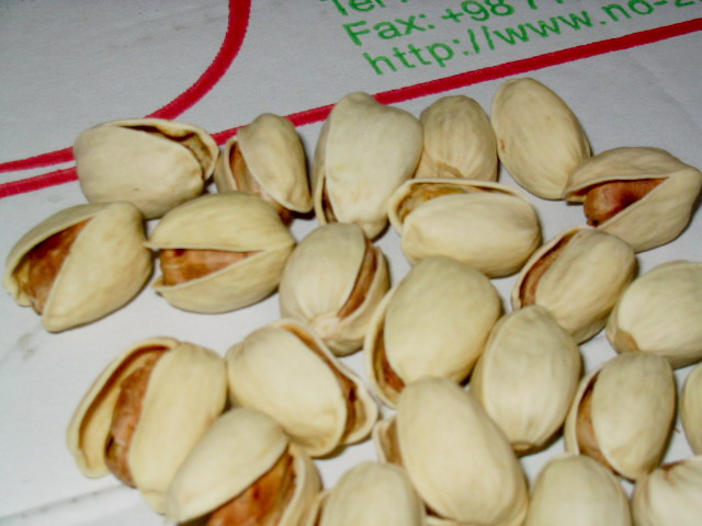  Mechanical Open Pistachio