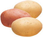  Potato (Pomme de terre)