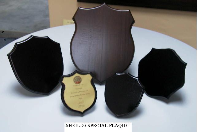  Wooden Shield & Plaque (Деревянный щит & налет)
