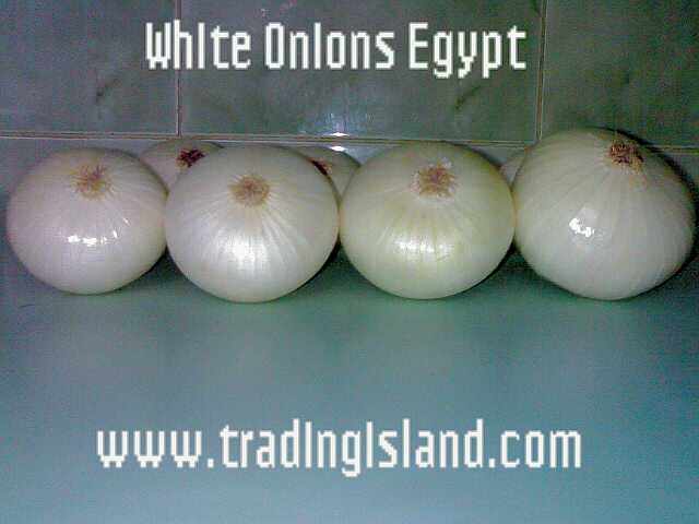  Onions