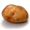  Fresh Potato (Pommes de terre fraîches)